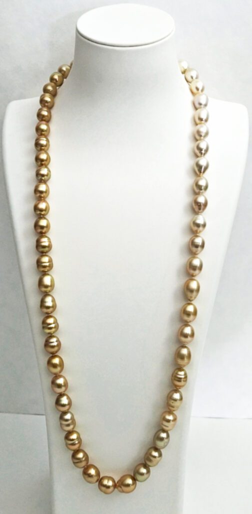 Ombre Strand of Golden & Cream South Sea Pearls & 18kt Yellow Gold Clasp Necklace