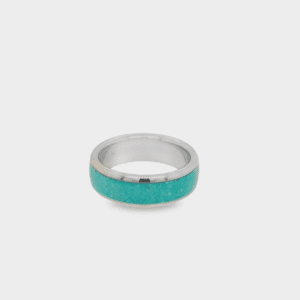 Sleeping Beauty Turquoise & Titanium Ring