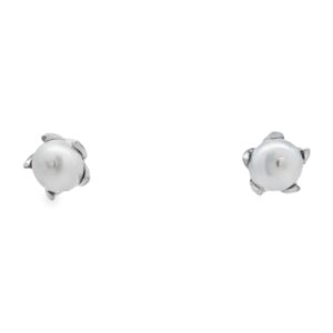 White Freshwater Pearl & Sterling Silver Stud Earrings