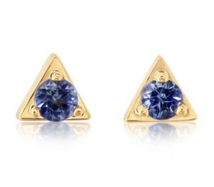 14kt Yellow Gold & Montana Sapphire (0.28cts) Stud Earrings