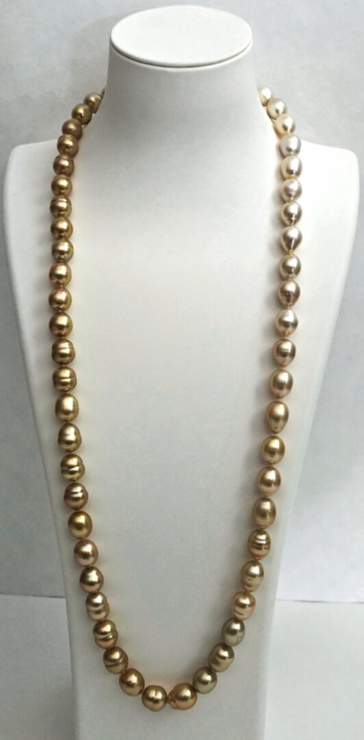 Ombre Strand of Golden & Cream South Sea Pearls & 18kt Yellow Gold Clasp Necklace